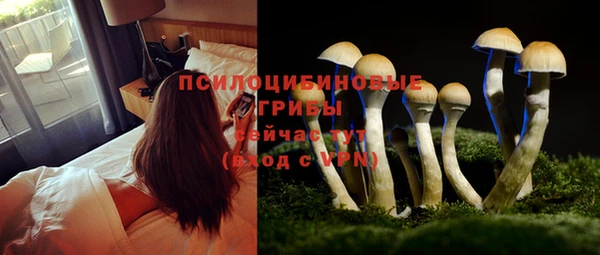 мяу мяу мука Волосово