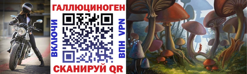 Купить закладки  Полысаево  Псилоцибиновые грибы Psilocybe 